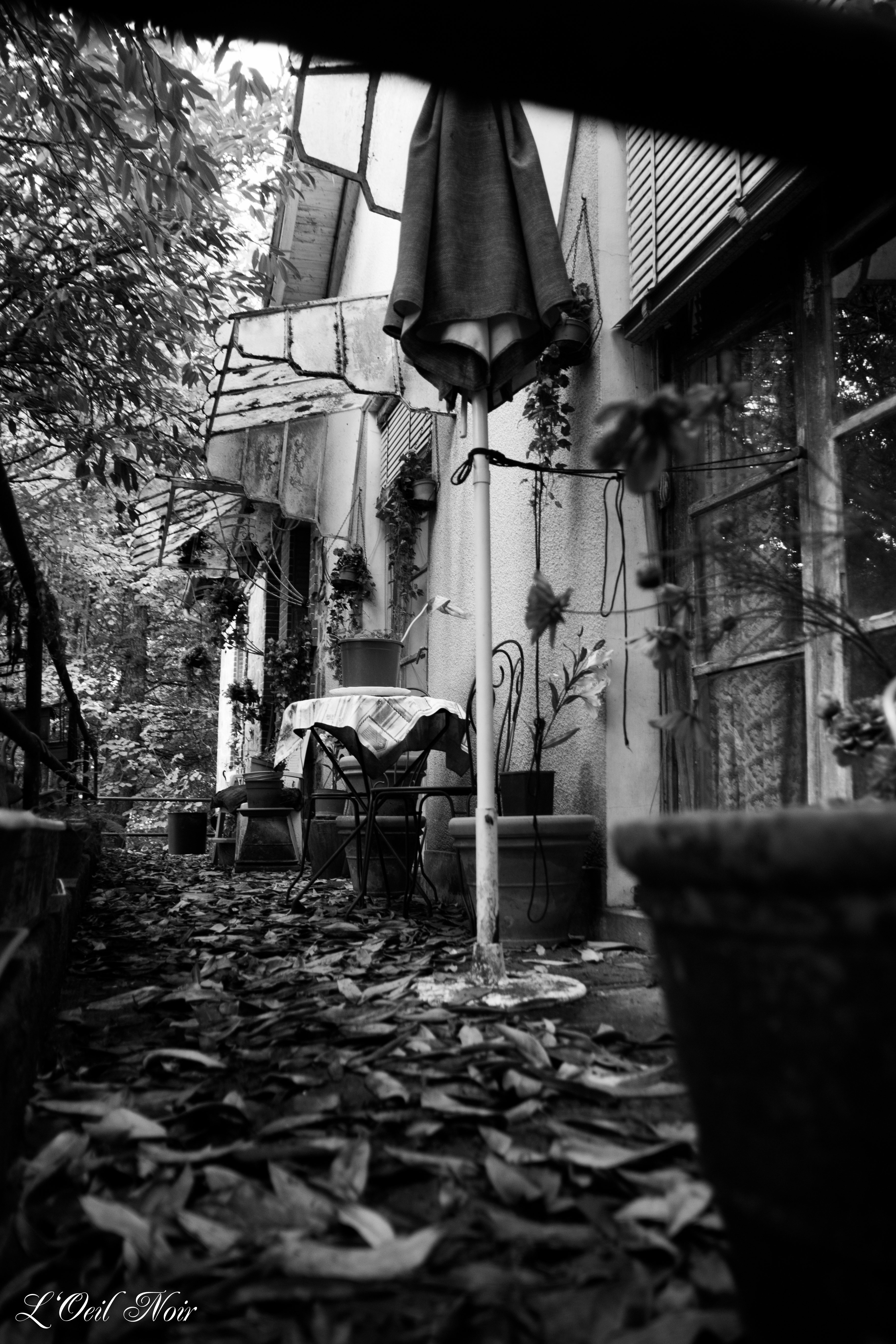 L' Oeil Noir Photographie